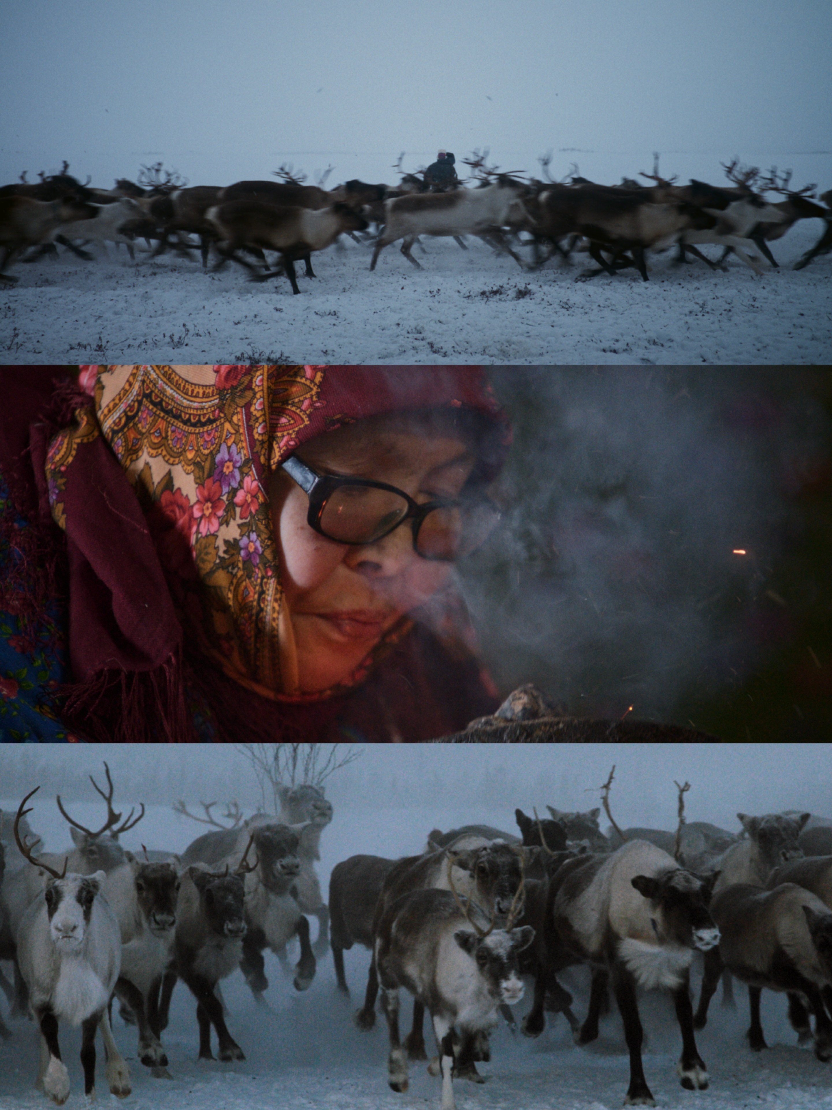 «Voices of Arctic» color graded by Denis Anishchenko – Dehancer Blog