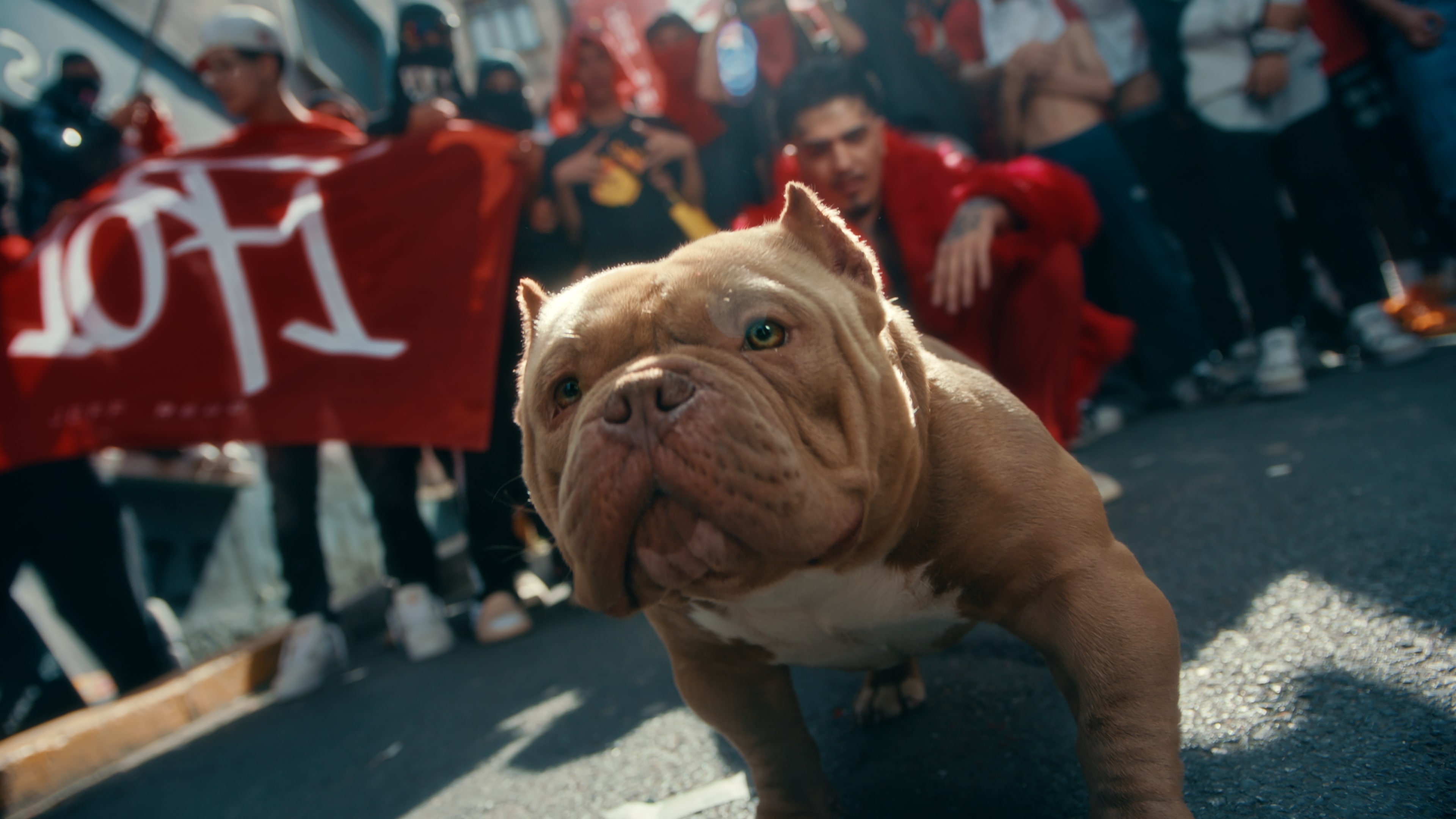 Dj Rondu Screen grabs from the “RONDO” music video by JeffRedd. Color graded by ...